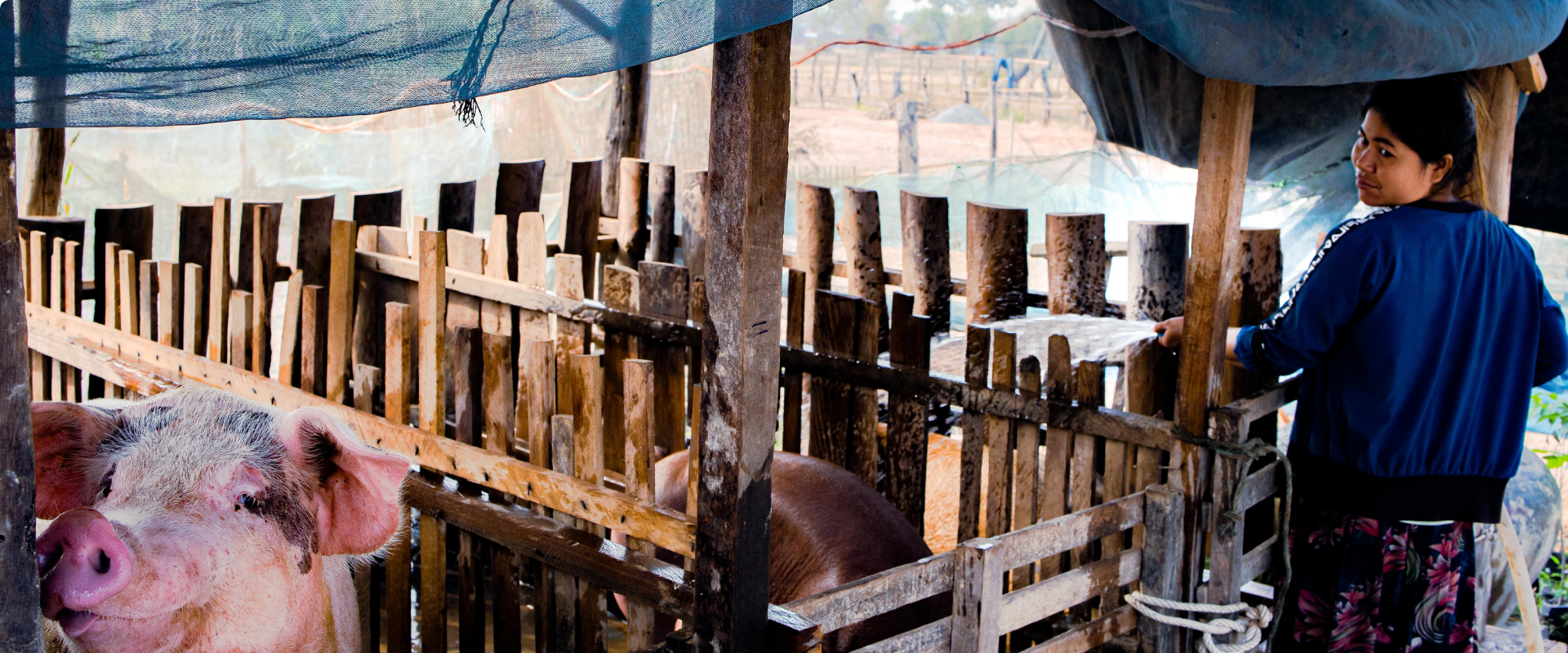 Vivu Journeys Cambodia