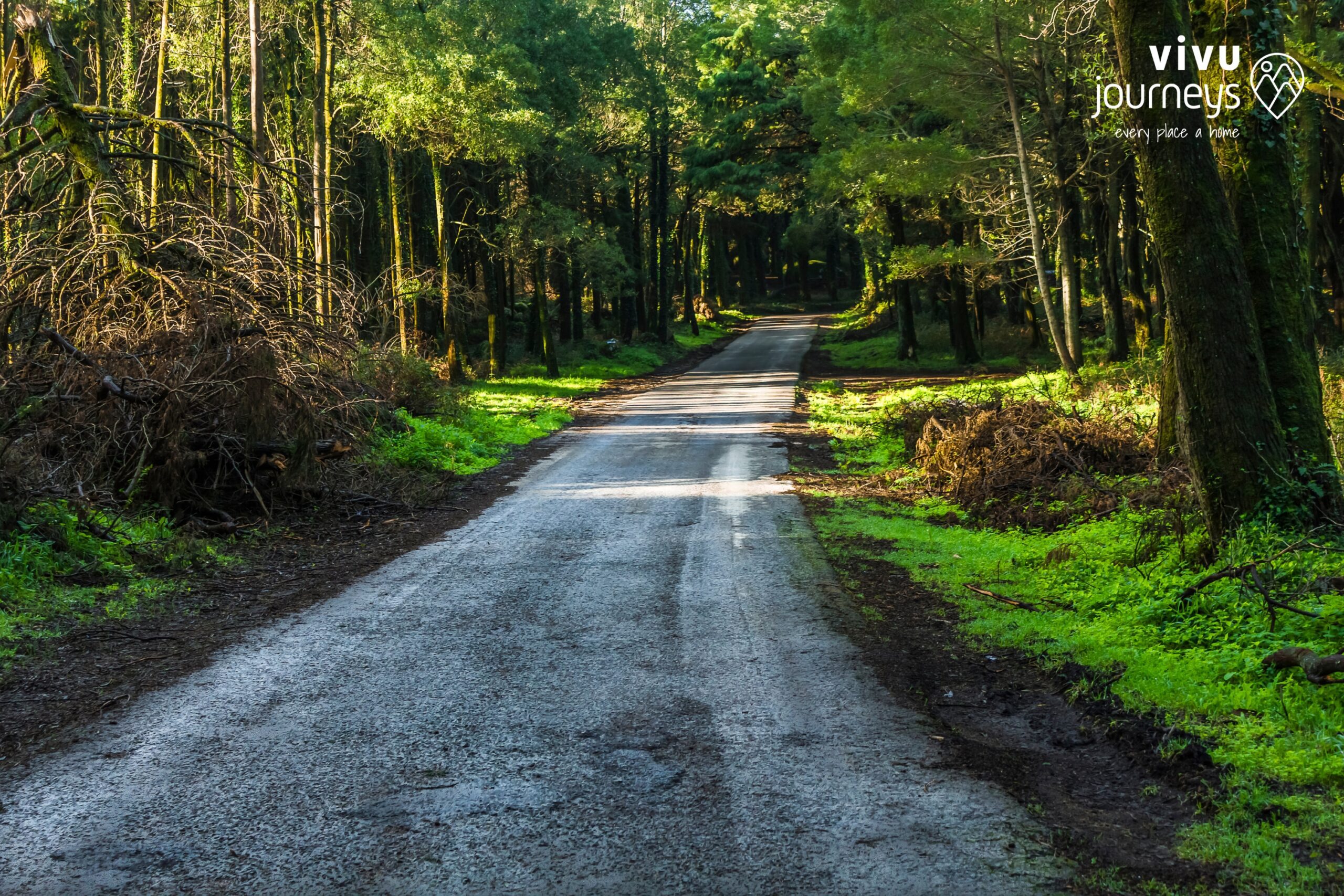 Local Legend Portugal