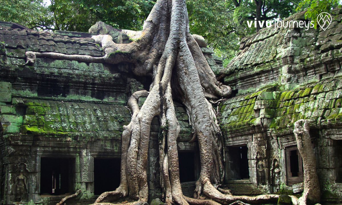 Ta Prohm at Angkor. What not to miss in Cambodia? 