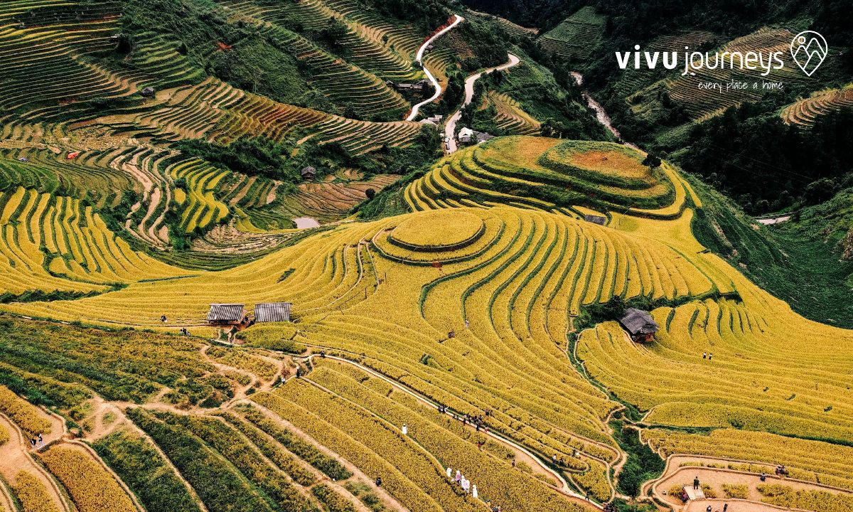 Mu Cang Chai