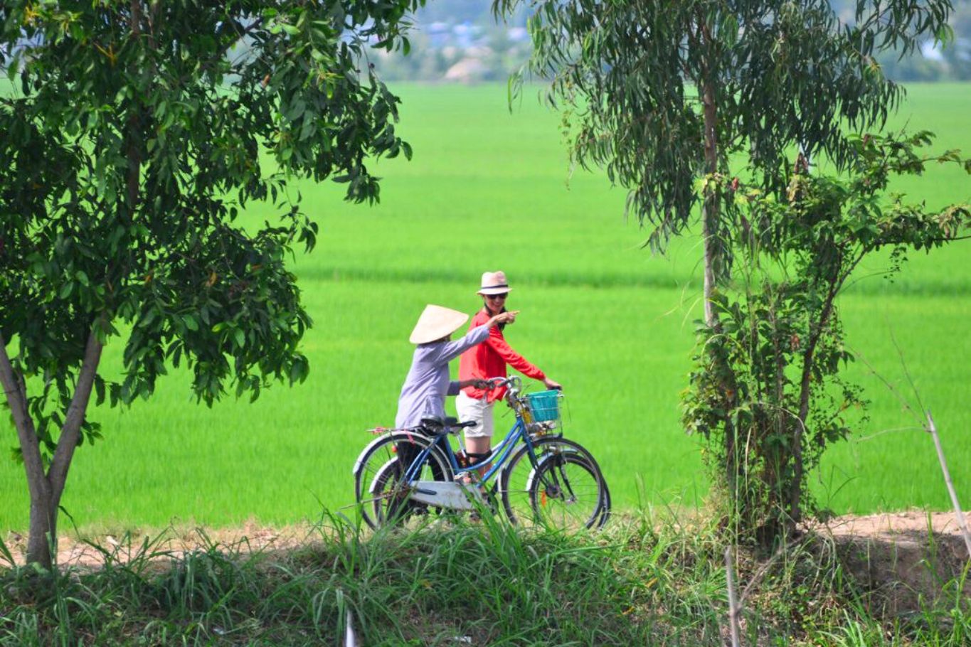 mekong in summer
