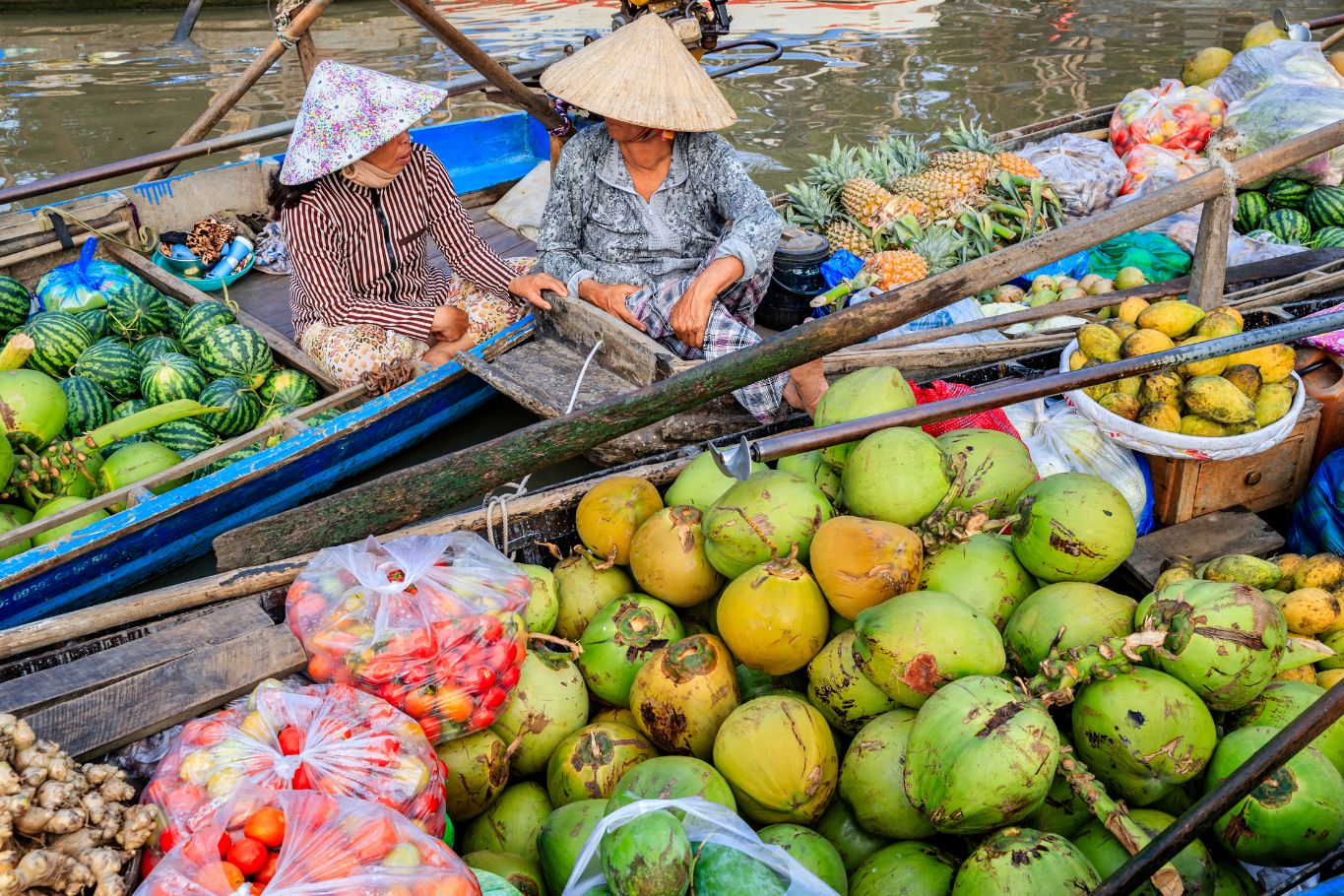 mekong fruit