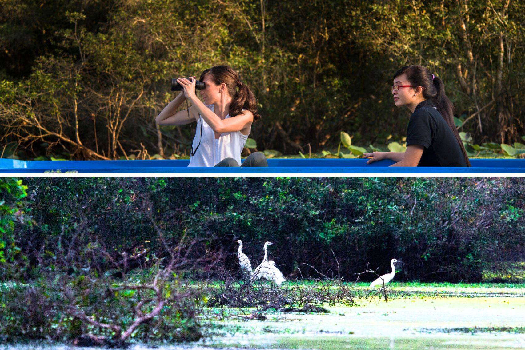 Tra Su - Chau Doc - An Giang (1)