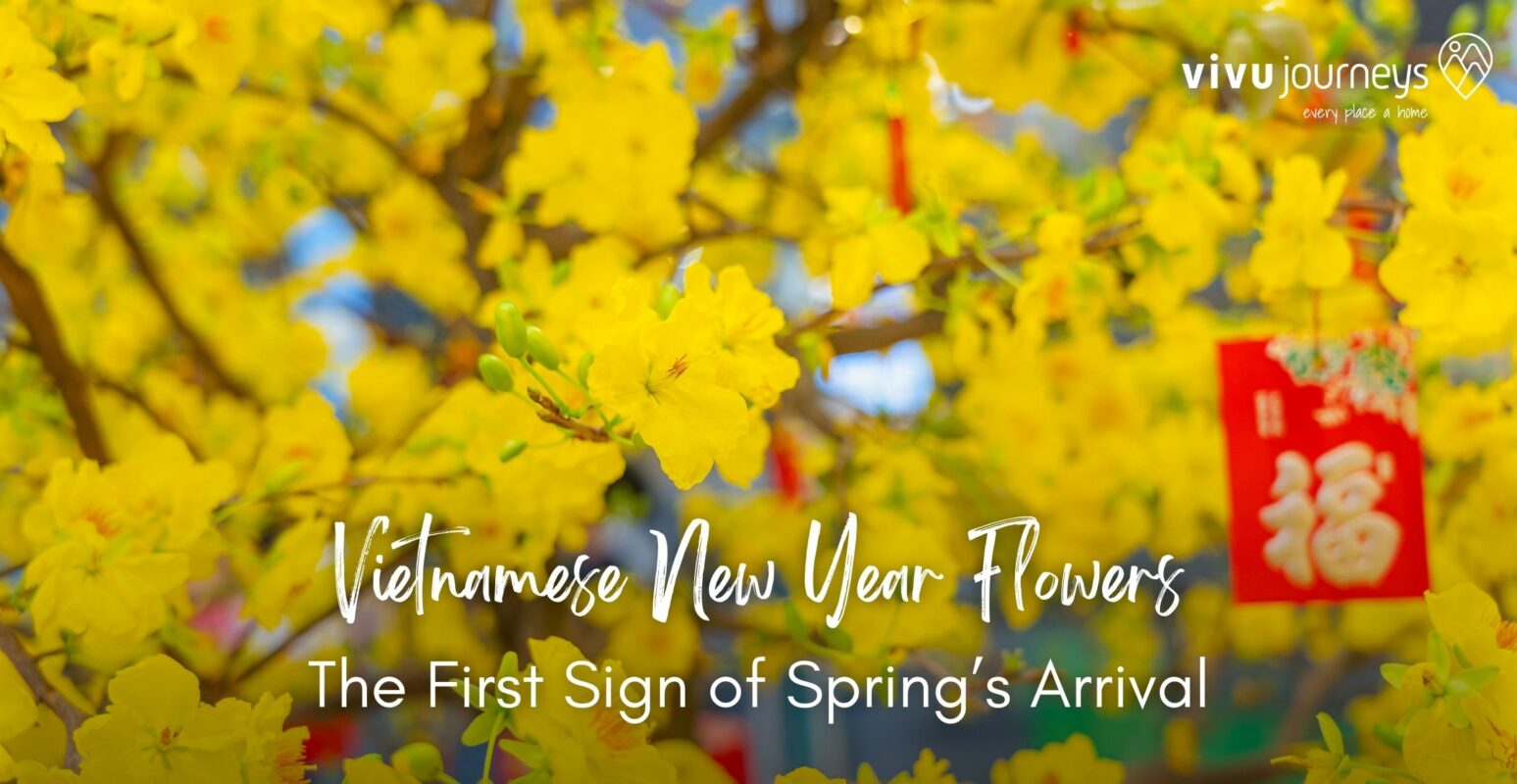 vietnamese new year flower