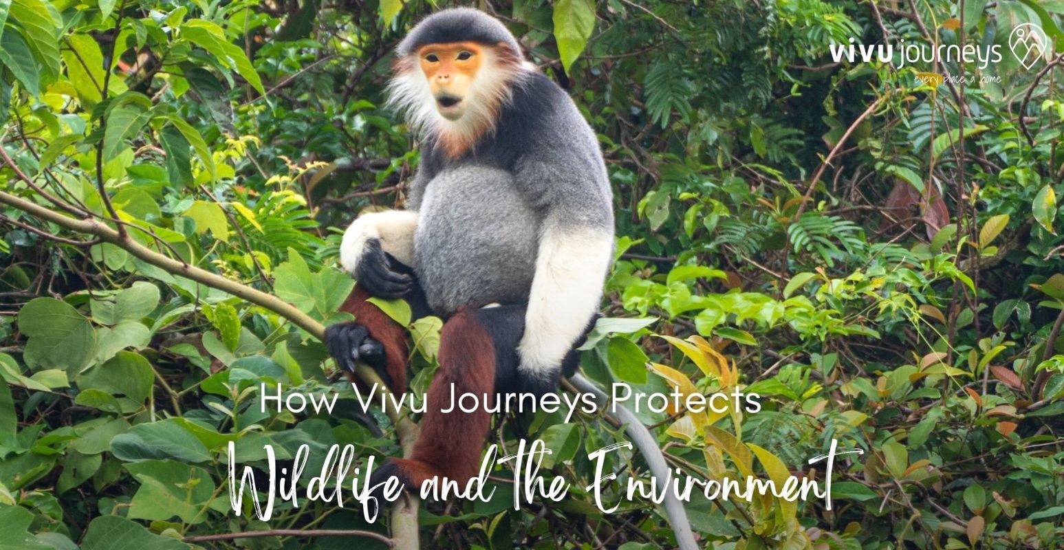 protect wildlife