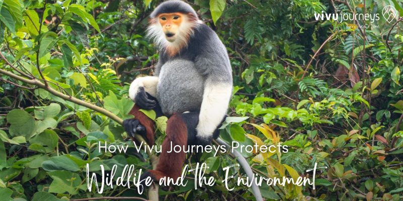 protect wildlife