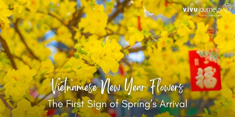 vietnamese new year flower